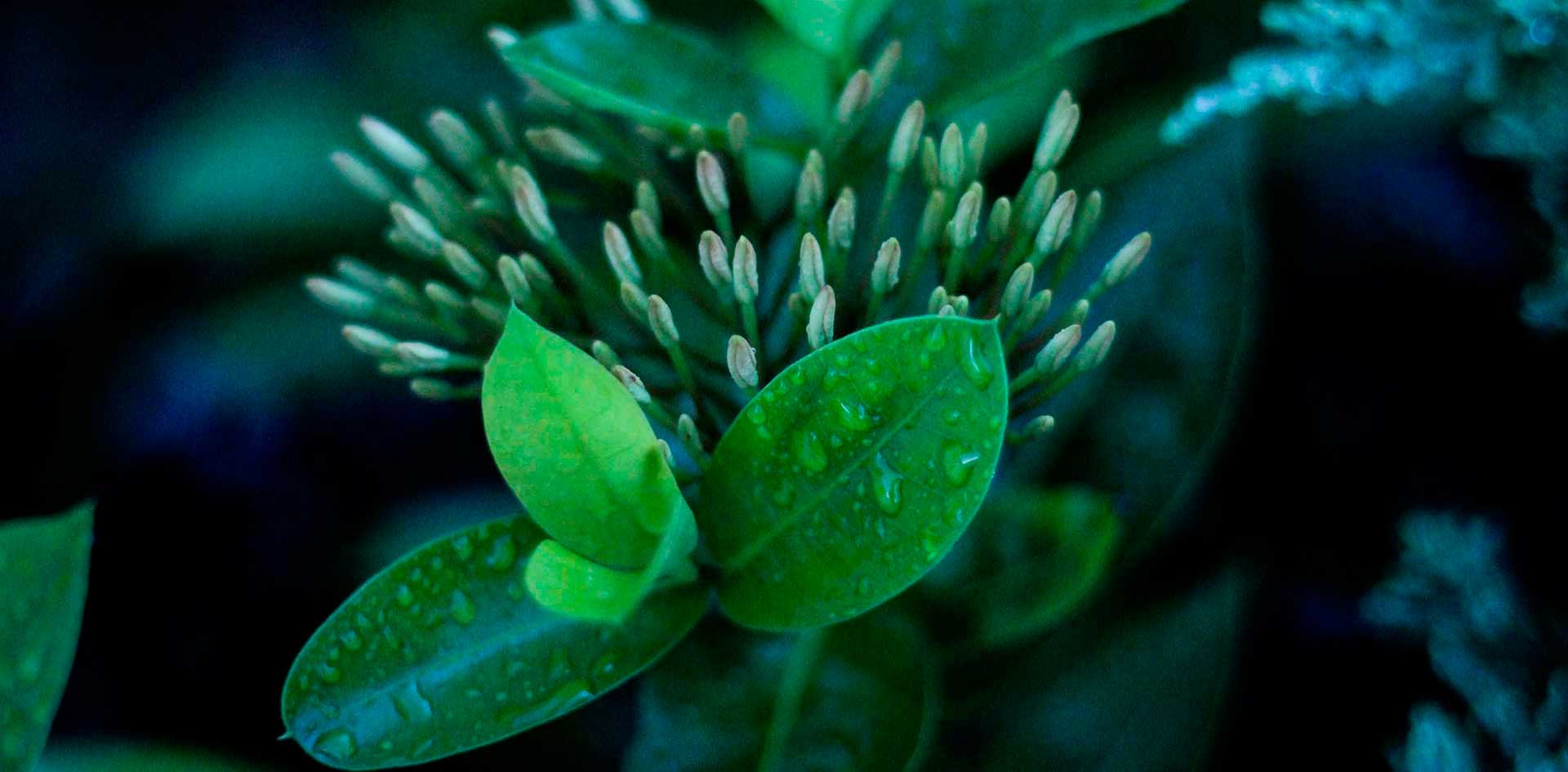 Join the Movement Join the Movement